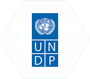 UNDP